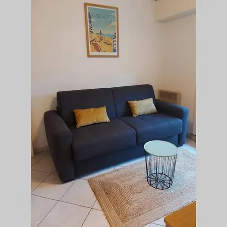 Apartament F2 A 100M De La Plage Avec Wifi.