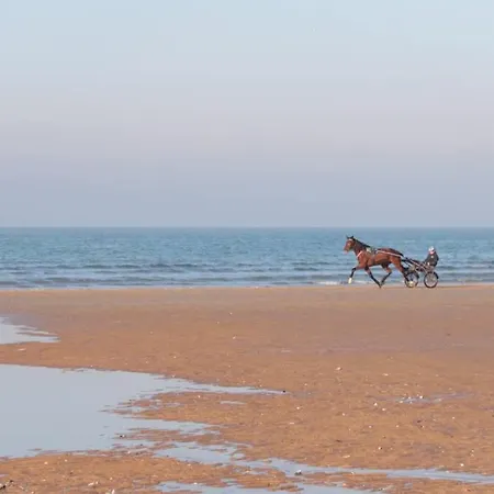 F2 A 100M De La Plage Avec Wifi.